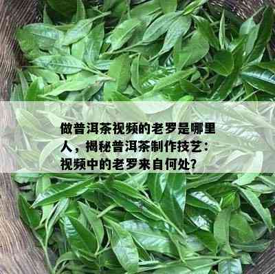 做普洱茶视频的老罗是哪里人，揭秘普洱茶制作技艺：视频中的老罗来自何处？