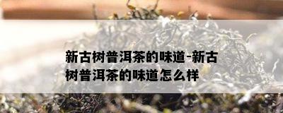 新古树普洱茶的味道-新古树普洱茶的味道怎么样