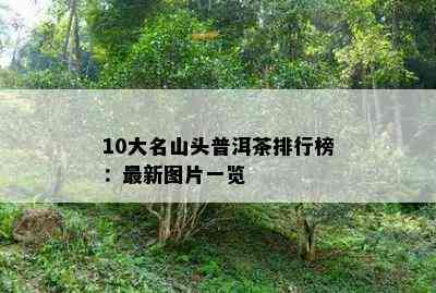 10大名山头普洱茶排行榜：最新图片一览