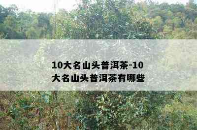 10大名山头普洱茶-10大名山头普洱茶有哪些