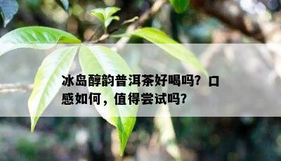 冰岛醇韵普洱茶好喝吗？口感怎样，值得尝试吗？