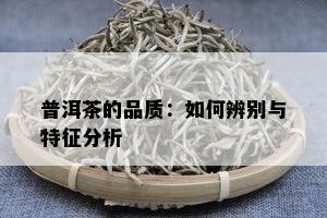 普洱茶的品质：如何辨别与特征分析