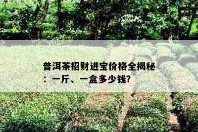 普洱茶招财进宝价格全揭秘：一斤、一盒多少钱？