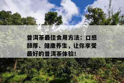 普洱茶更佳食用方法：口感醇厚、健康养生，让你享受更好的普洱茶体验！