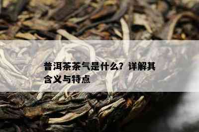 普洱茶茶气是什么？详解其含义与特点