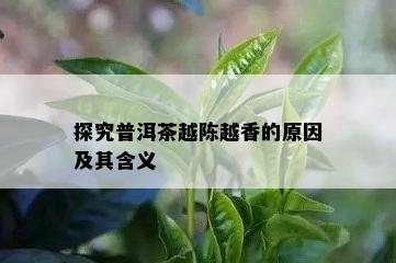 探究普洱茶越陈越香的原因及其含义