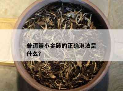 普洱茶小金砖的正确泡法是什么？