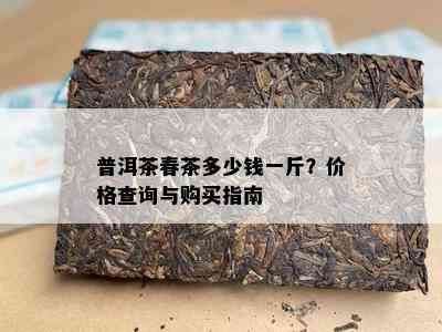 普洱茶春茶多少钱一斤？价格查询与购买指南