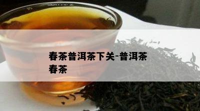 春茶普洱茶下关-普洱茶 春茶