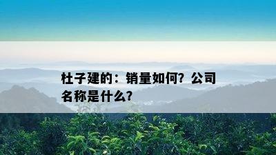 杜子建的：销量如何？公司名称是什么？