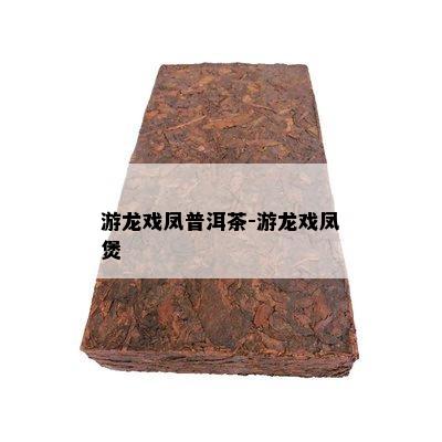 游龙戏凤普洱茶-游龙戏凤煲