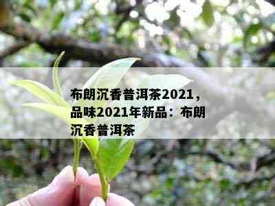 布朗沉香普洱茶2021，品味2021年新品：布朗沉香普洱茶