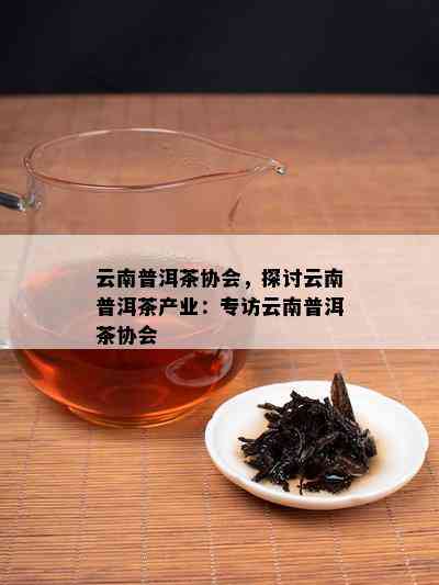 云南普洱茶协会，探讨云南普洱茶产业：专访云南普洱茶协会