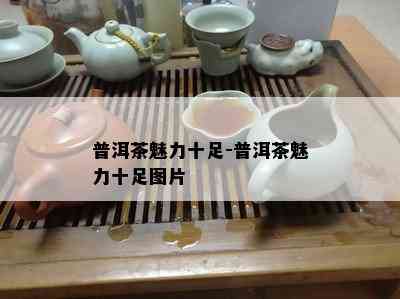 普洱茶魅力十足-普洱茶魅力十足图片