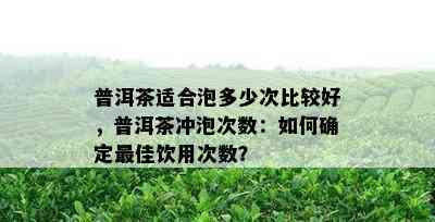 普洱茶适合泡多少次比较好，普洱茶冲泡次数：如何确定更佳饮用次数？