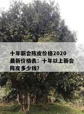 十年新会陈皮价格2020最新价格表：十年以上新会陈皮多少钱？