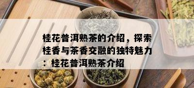 桂花普洱熟茶的介绍，探索桂香与茶香交融的特别魅力：桂花普洱熟茶介绍