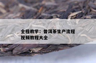 全程教学：普洱茶生产流程视频教程大全