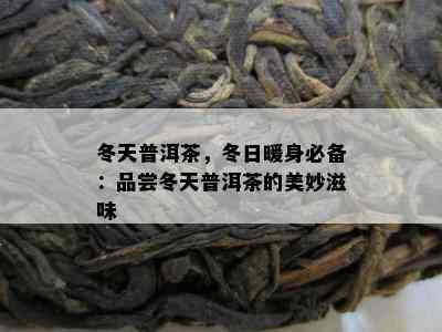 冬天普洱茶，冬日暖身必备：品尝冬天普洱茶的美妙滋味