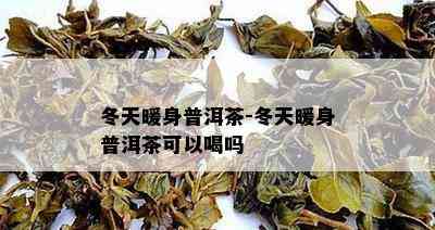 冬天暖身普洱茶-冬天暖身普洱茶可以喝吗