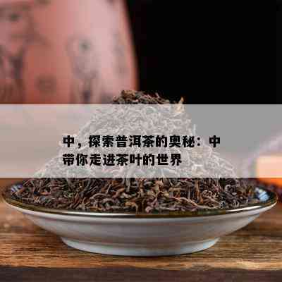 中，探索普洱茶的奥秘：中带你走进茶叶的世界