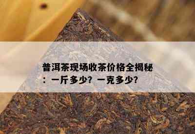 普洱茶现场收茶价格全揭秘：一斤多少？一克多少？