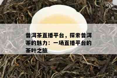 普洱茶直播平台，探索普洱茶的魅力：一场直播平台的茶叶之旅