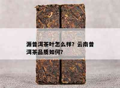 源普洱茶叶怎么样？云南普洱茶品质如何？