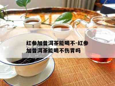 红参加普洱茶能喝不-红参加普洱茶能喝不伤胃吗