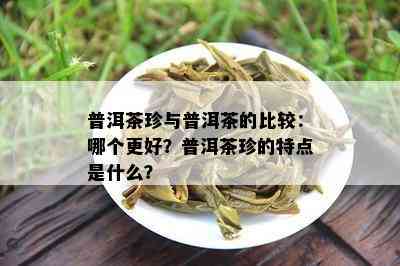 普洱茶珍与普洱茶的比较：哪个更好？普洱茶珍的特点是什么？