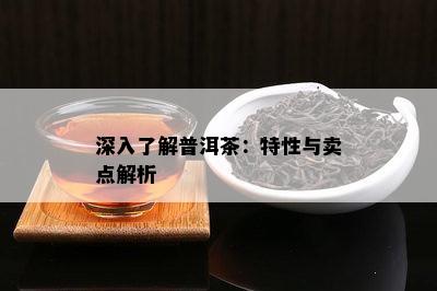 深入了解普洱茶：特性与卖点解析