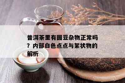 普洱茶里有圆豆杂物正常吗？内部白色点点与絮状物的解析