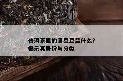 普洱茶里的圆豆豆是什么？揭示其身份与分类