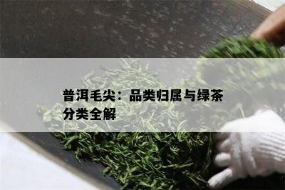 普洱毛尖：品类归属与绿茶分类全解