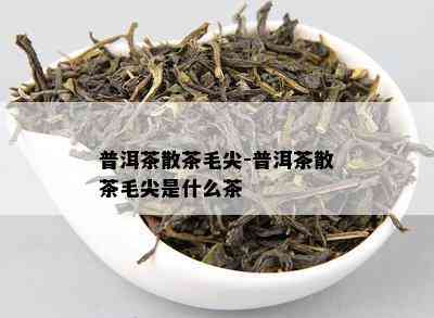 普洱茶散茶毛尖-普洱茶散茶毛尖是什么茶