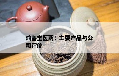 鸿善堂医：主要产品与公司评价