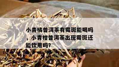 小青橘普洱茶有霉斑能喝吗，小青柑普洱茶出现霉斑还能饮用吗？