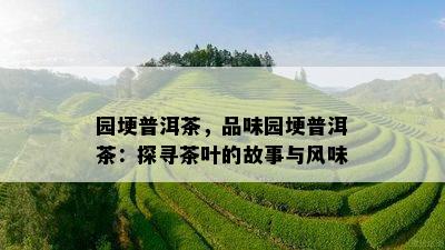 园埂普洱茶，品味园埂普洱茶：探寻茶叶的故事与风味