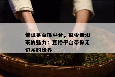 普洱茶直播平台，探索普洱茶的魅力：直播平台带你走进茶的世界