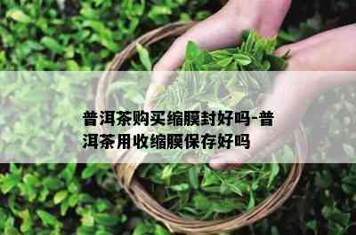 普洱茶购买缩膜封好吗-普洱茶用收缩膜保存好吗