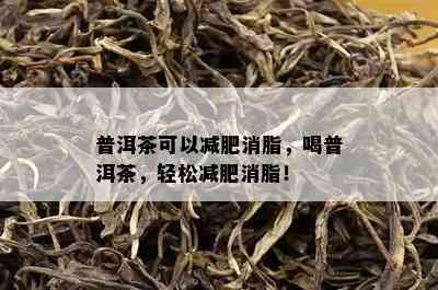 普洱茶可以减肥消脂，喝普洱茶，轻松减肥消脂！