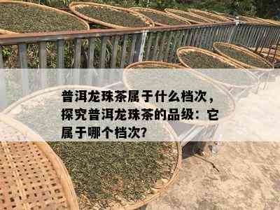 普洱龙珠茶属于什么档次，探究普洱龙珠茶的品级：它属于哪个档次？