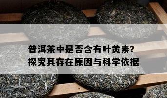 普洱茶中是否含有叶黄素？探究其存在原因与科学依据