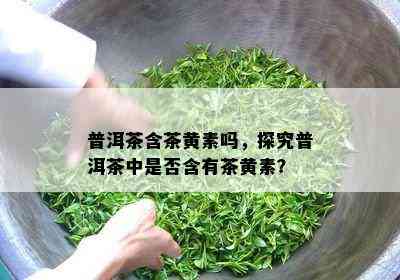 普洱茶含茶黄素吗，探究普洱茶中是否含有茶黄素？