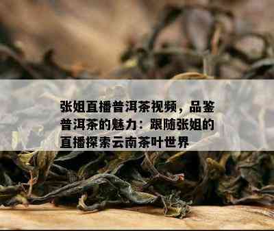 张姐直播普洱茶视频，品鉴普洱茶的魅力：跟随张姐的直播探索云南茶叶世界