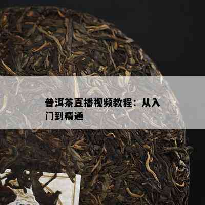 普洱茶直播视频教程：从入门到精通