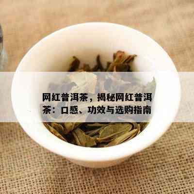 网红普洱茶，揭秘网红普洱茶：口感、功效与选购指南