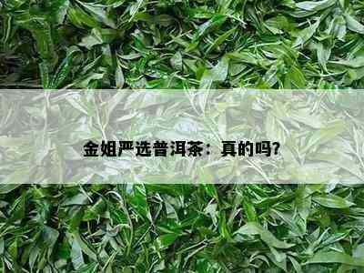 金姐严选普洱茶：真的吗？