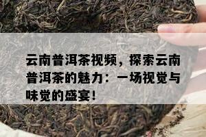 云南普洱茶视频，探索云南普洱茶的魅力：一场视觉与味觉的盛宴！