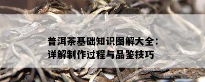 普洱茶基础知识图解大全：详解制作过程与品鉴技巧